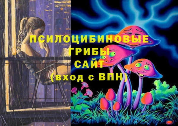 прущая мука Верея