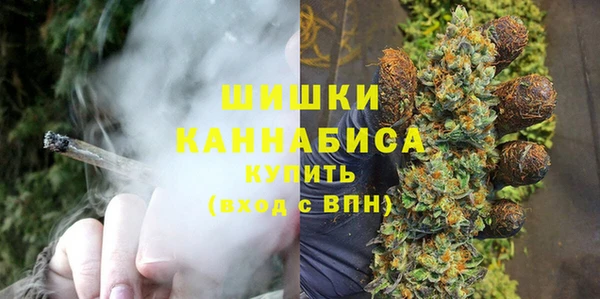 сатива Верхний Тагил