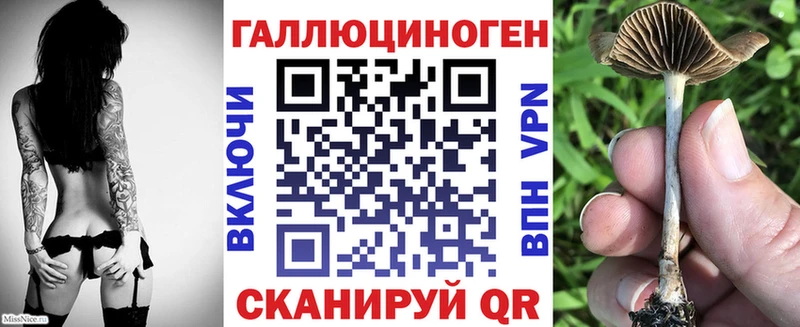 Псилоцибиновые грибы прущие грибы  Купить где  Нефтегорск 